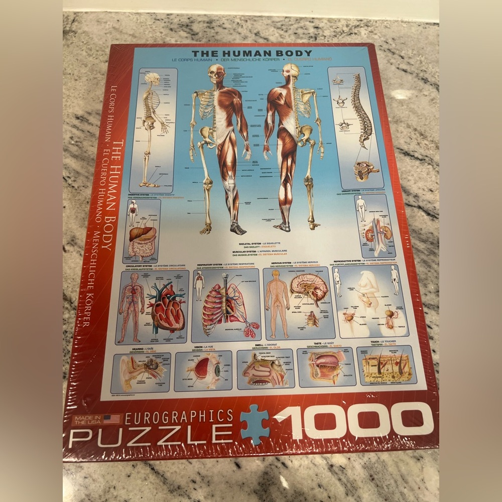 Eurographics Human Body Puzzle - 1000 Pieces - Multicolor